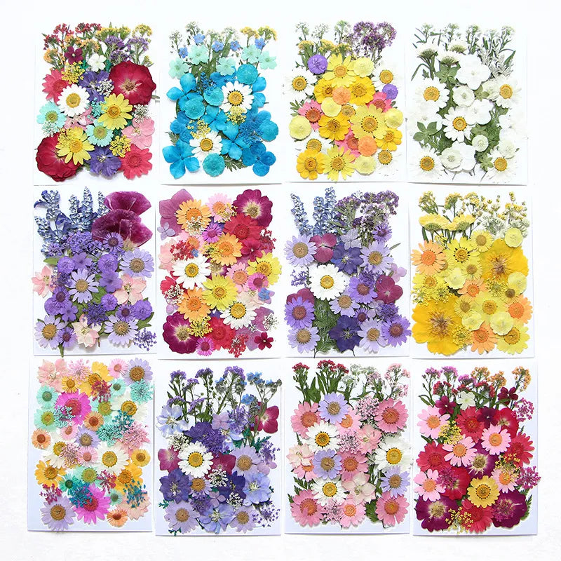 Dried Real Flowers